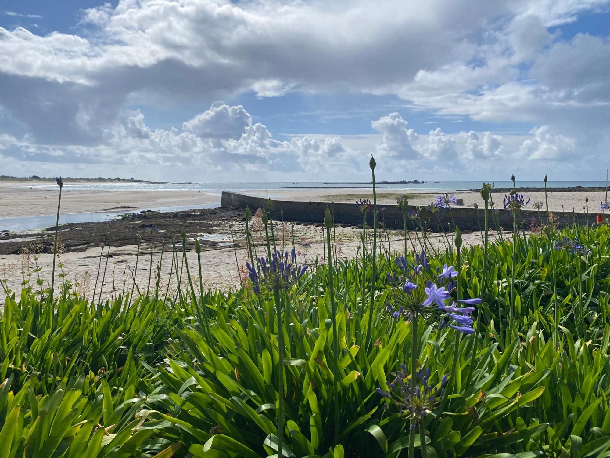 Villa Ster Et Mer Plobannalec 外观 照片